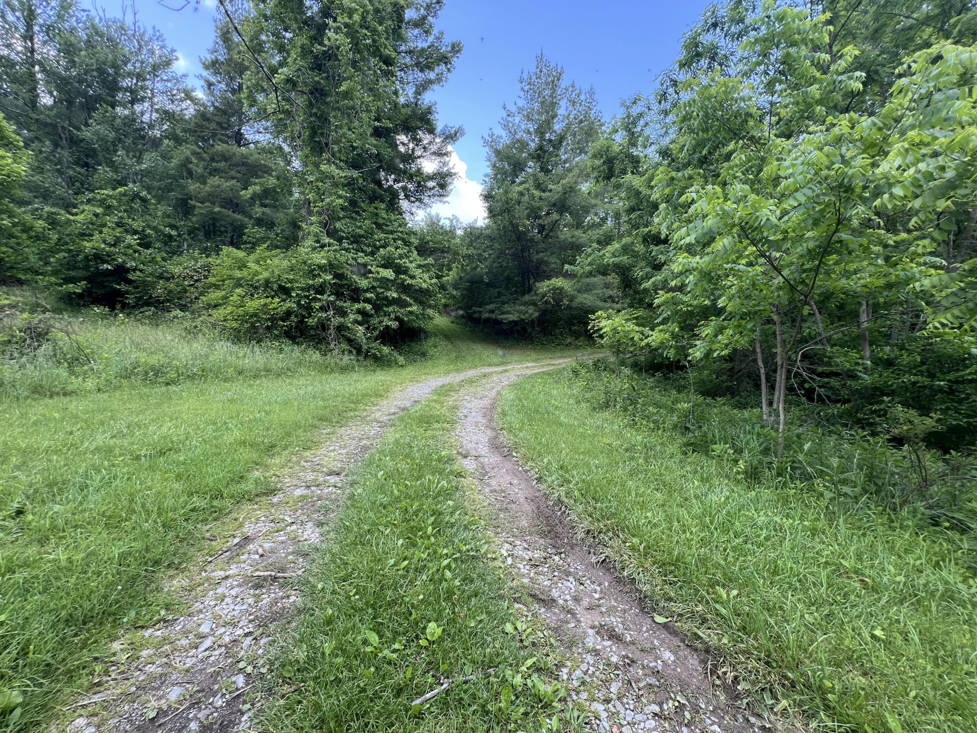 0 Robertson Mountain RD - Photo 8