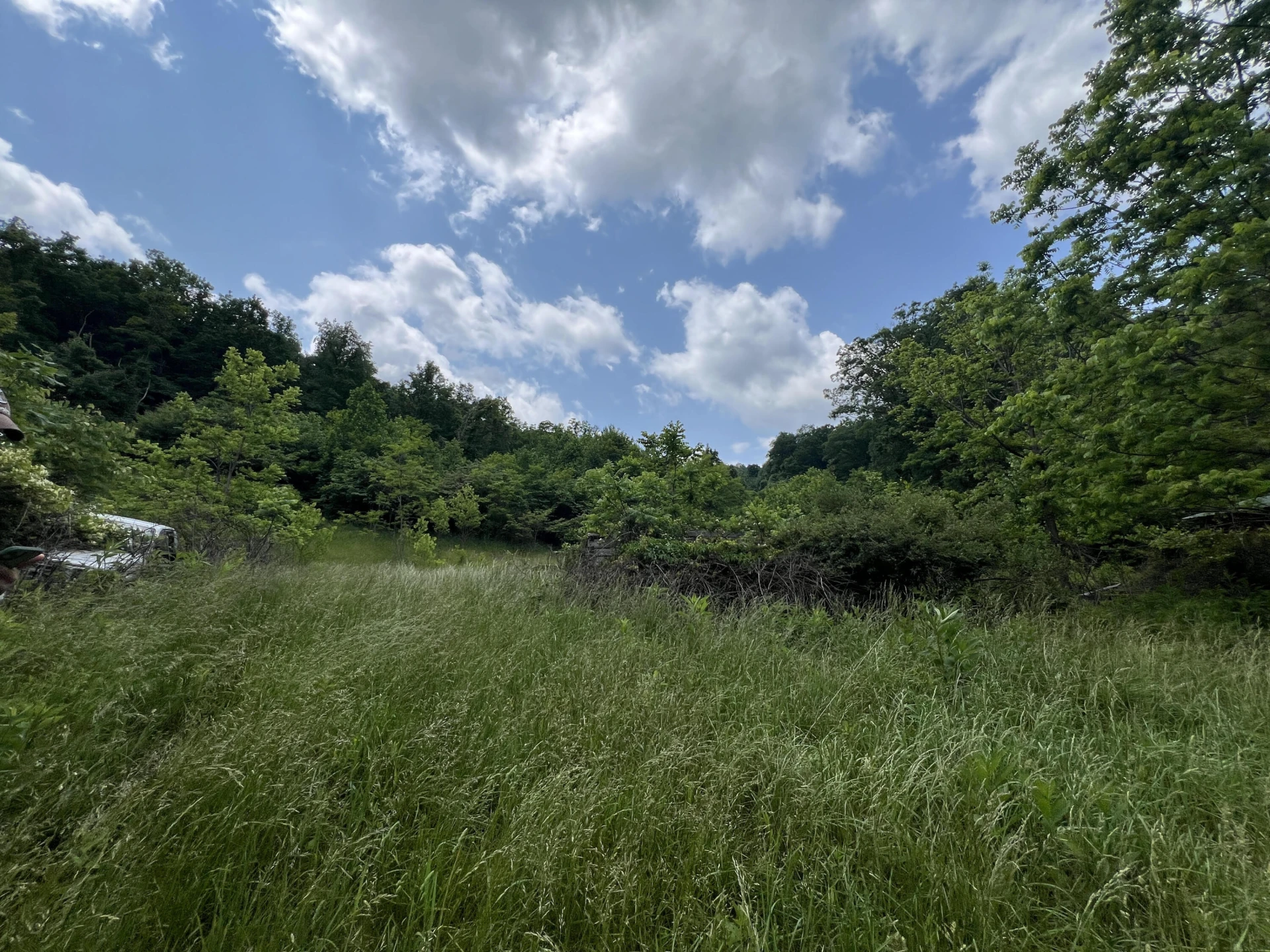 0 Robertson Mountain RD - Photo 9