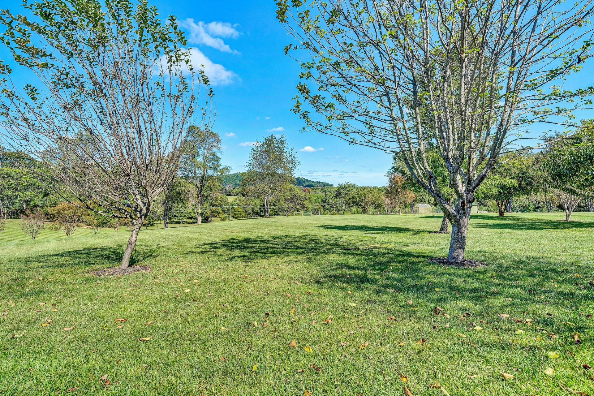 1850 Emmaus Church RD - Photo 49