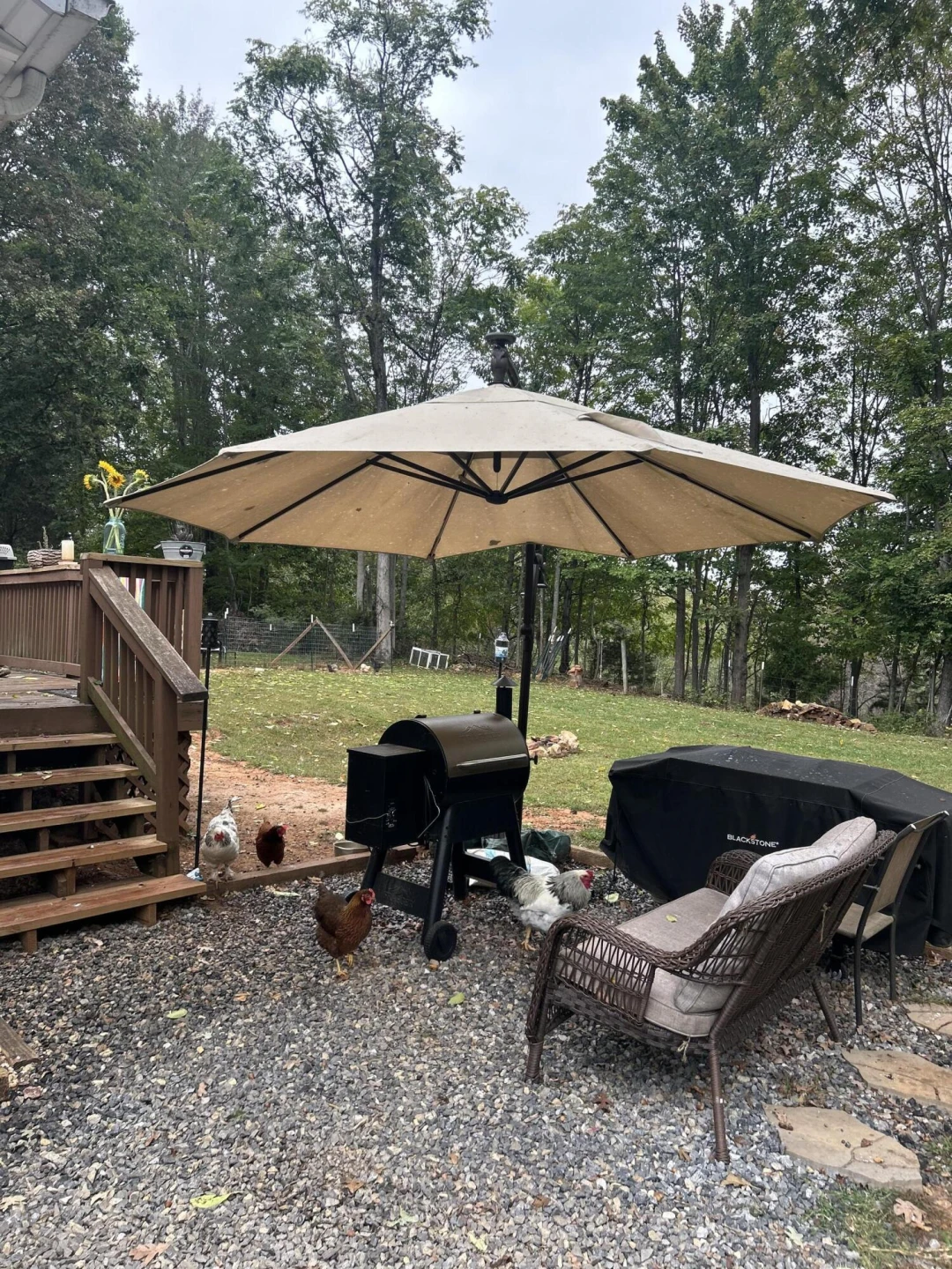 1167 Bruno DR - Photo 22