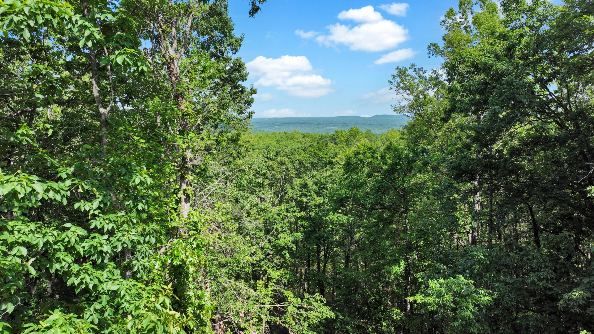 965 Vista PKWY - Photo 5