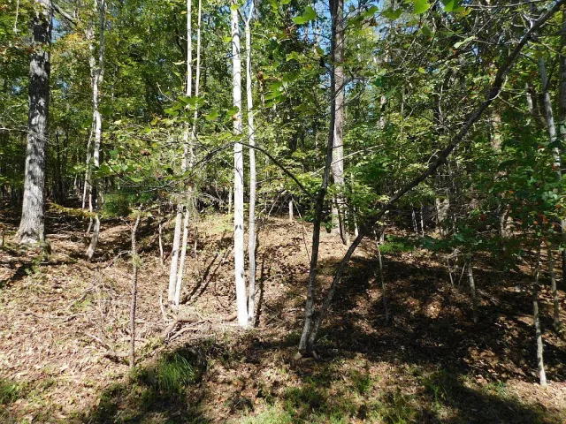 Lot 24 Cedar Bluff LN, Hardy, VA, 24101