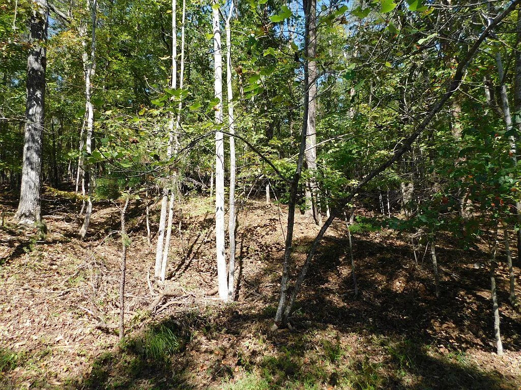 Lot 24 Cedar Bluff LN