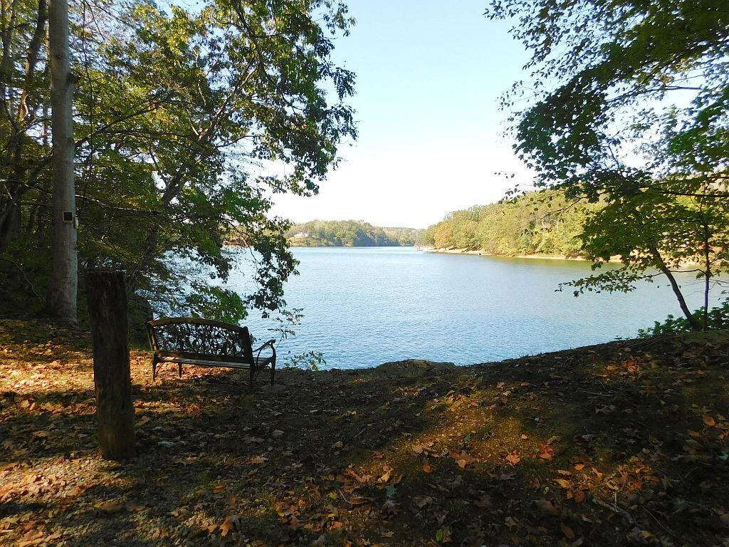 Lot 24 Cedar Bluff LN - Photo 11