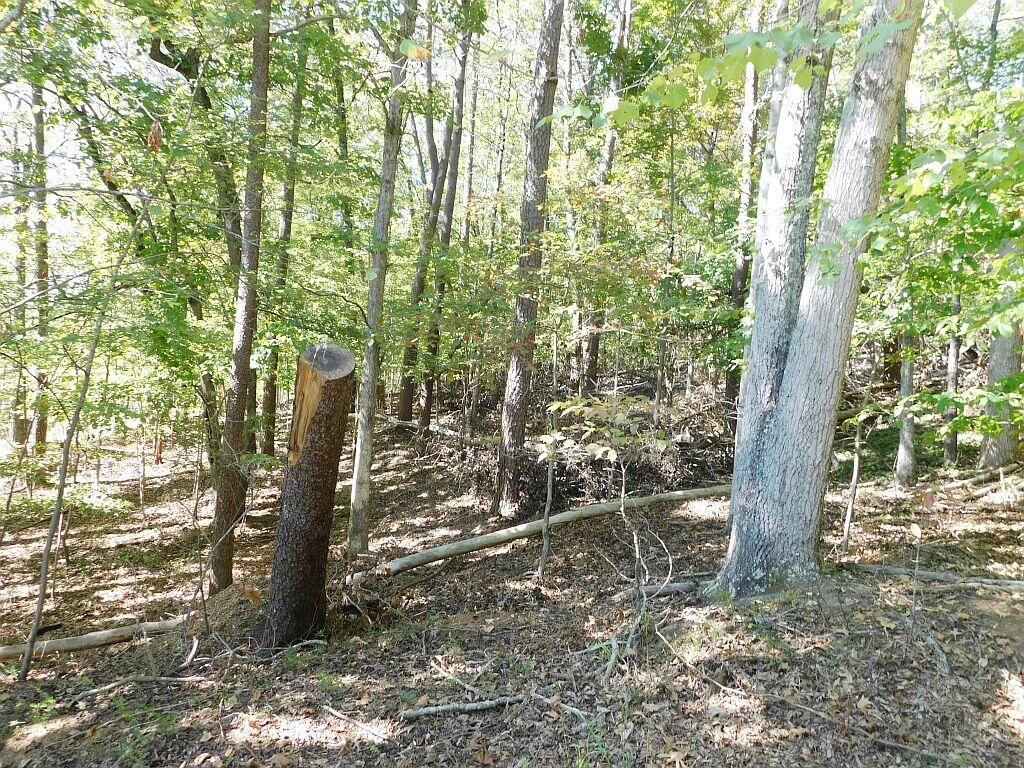 Lot 24 Cedar Bluff LN - Photo 4