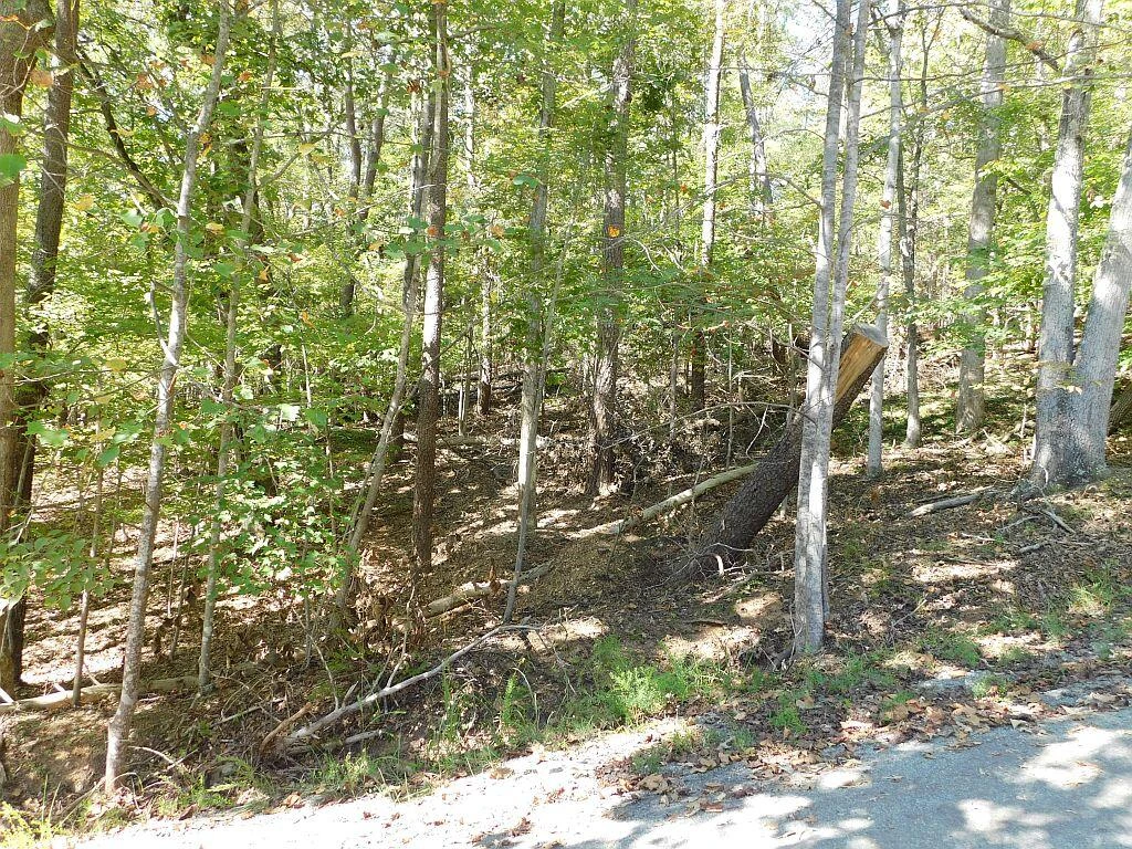 Lot 24 Cedar Bluff LN - Photo 5