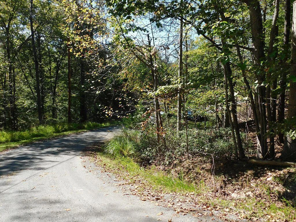 Lot 24 Cedar Bluff LN - Photo 6