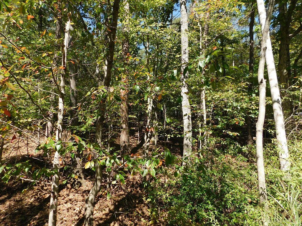 Lot 24 Cedar Bluff LN - Photo 7