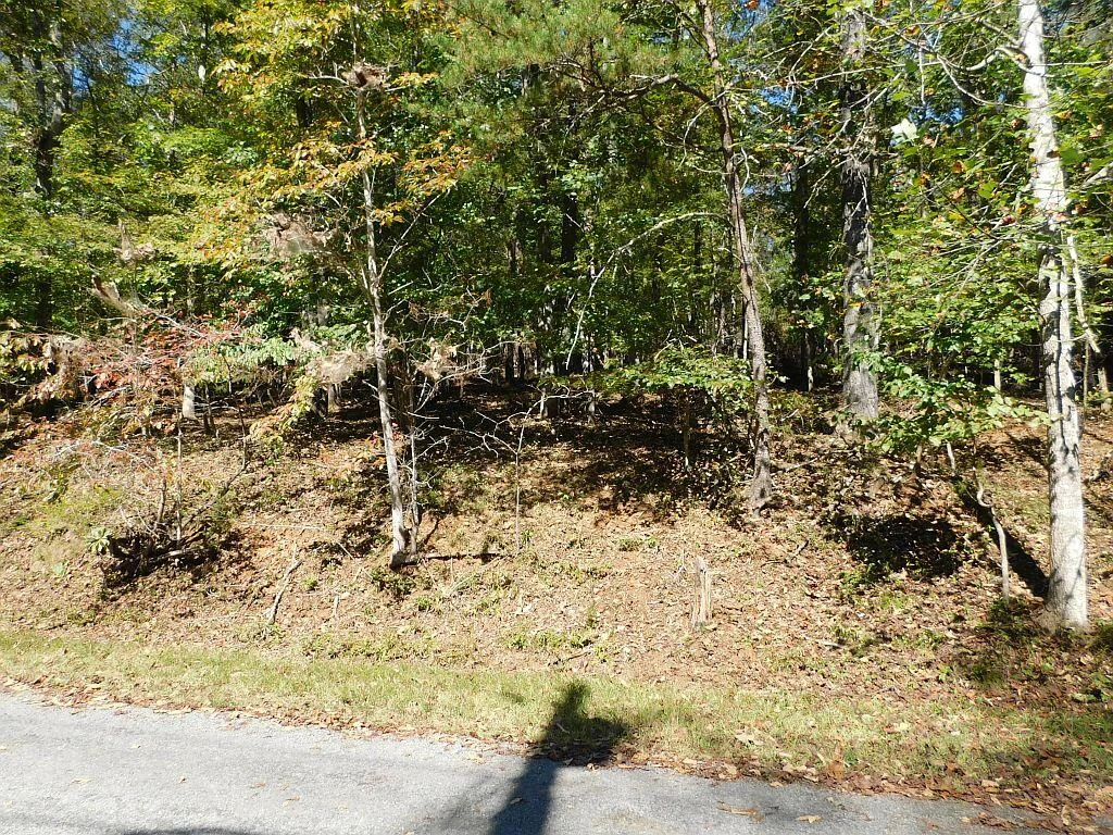 Lot 24 Cedar Bluff LN - Photo 8