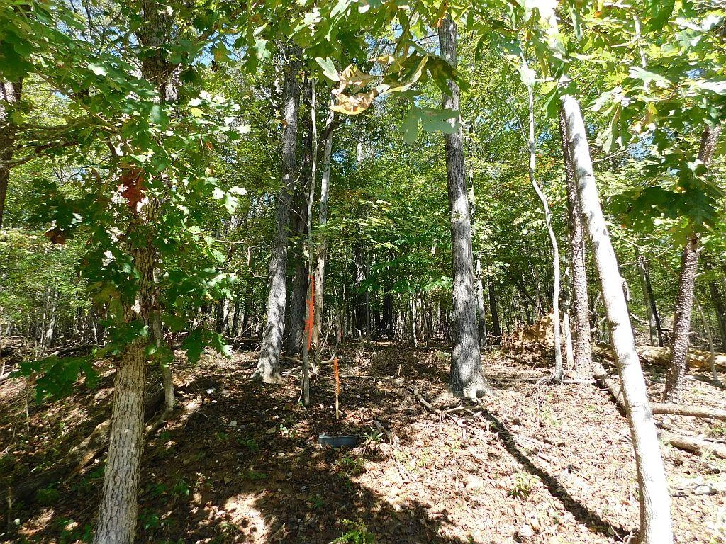 Lot 24 Cedar Bluff LN - Photo 9