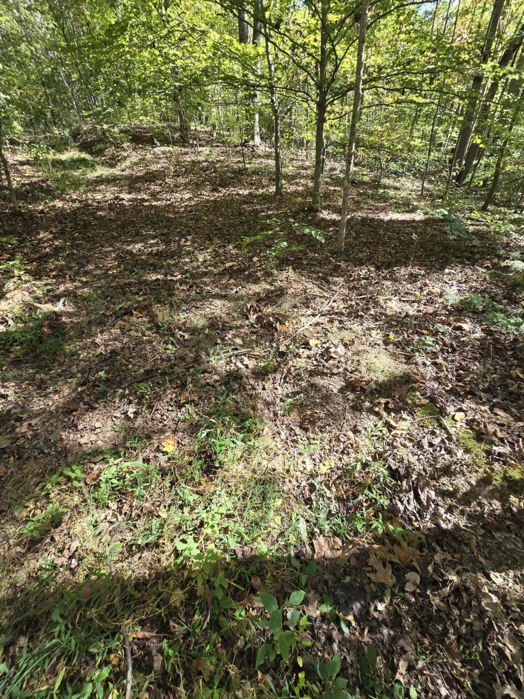 0 Salisbury RD - Photo 23