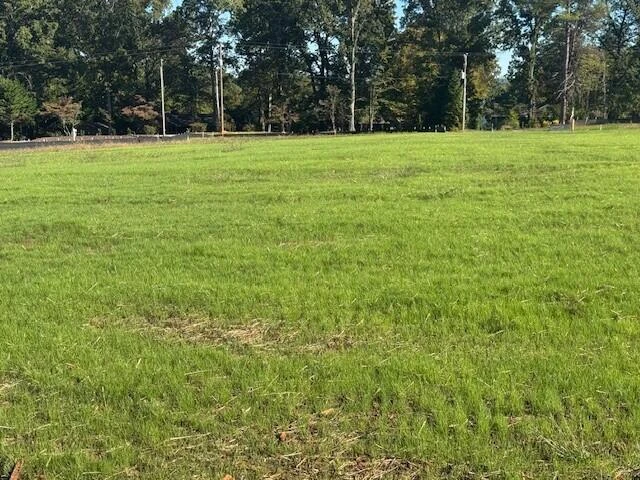 Lot 21B Scruggs RD