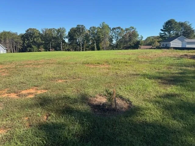 Lot 22B Scruggs RD - Photo 2