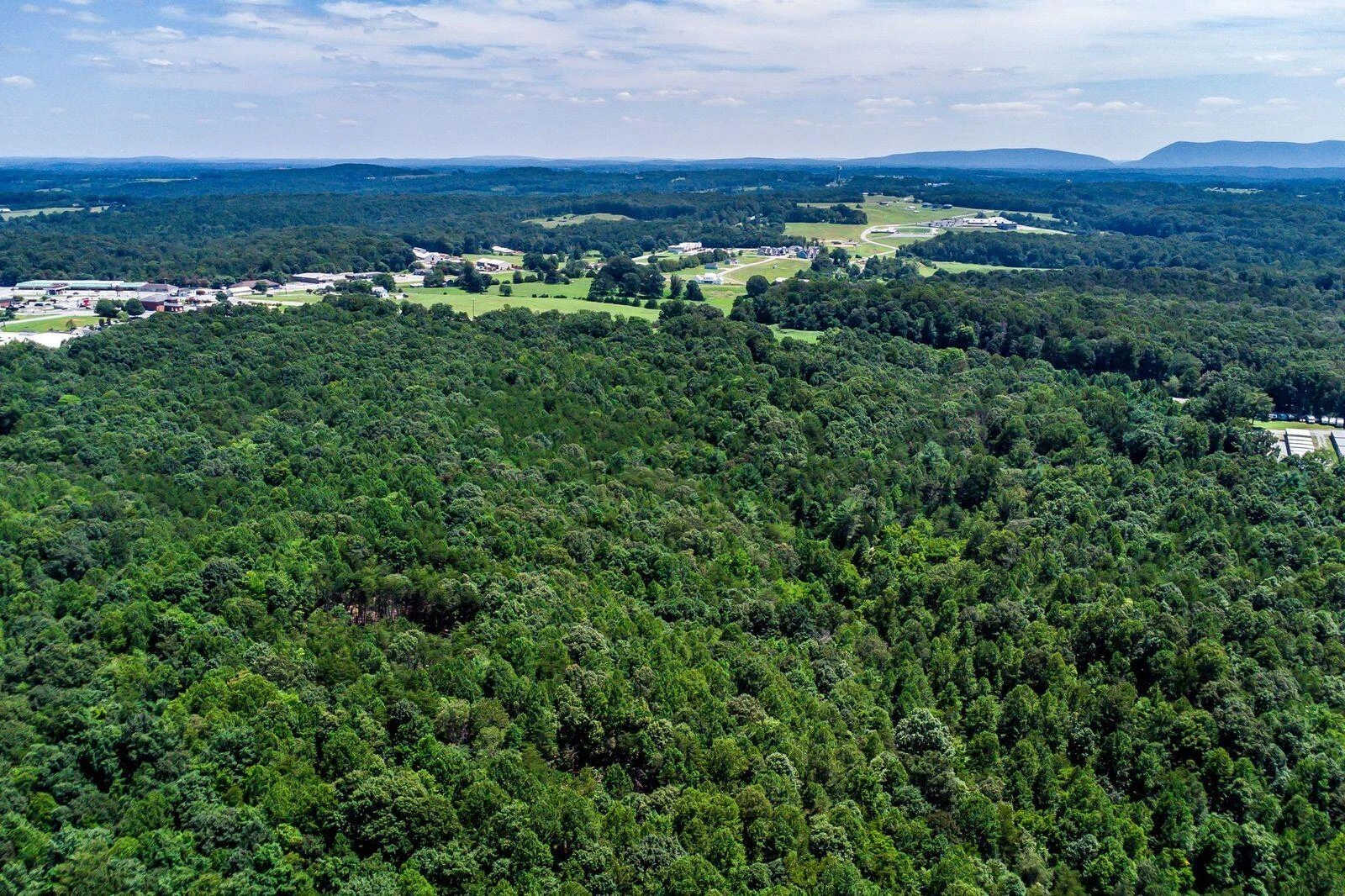 15093 A Moneta RD - Photo 11