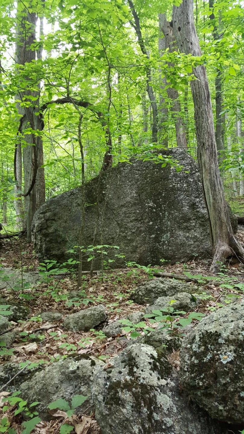 0 Masons Knob RD
