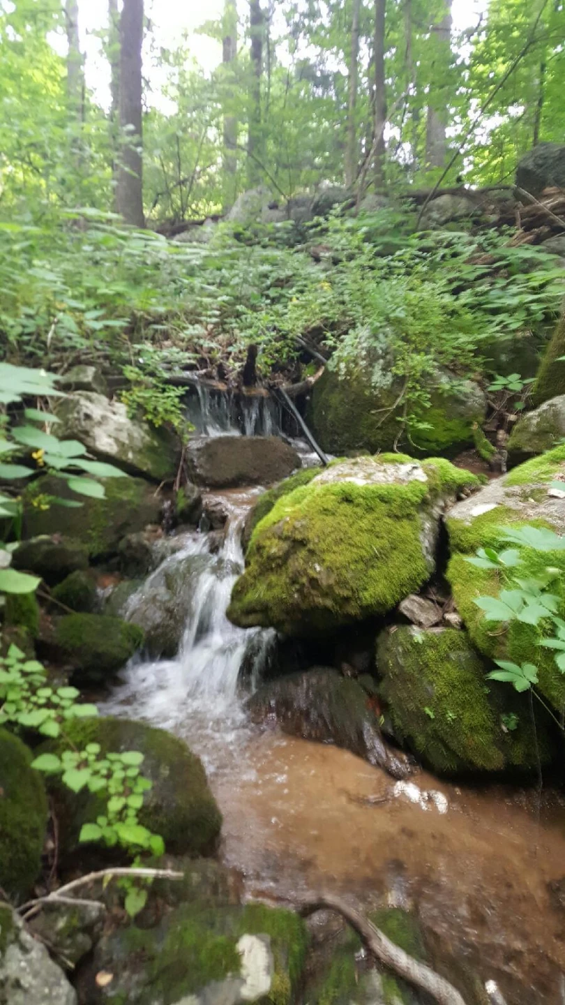 0 Masons Knob RD - Photo 2