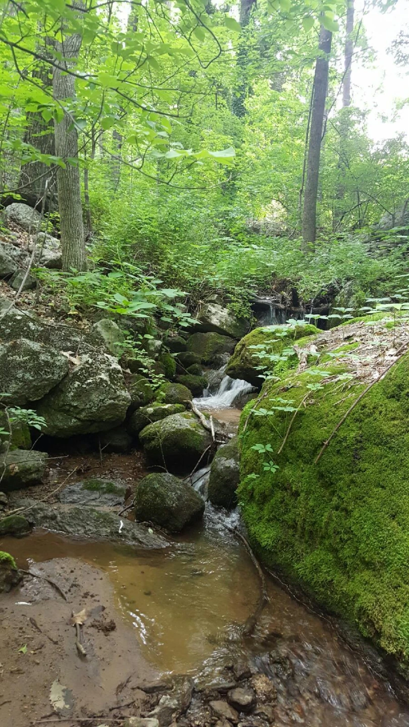 0 Masons Knob RD - Photo 5