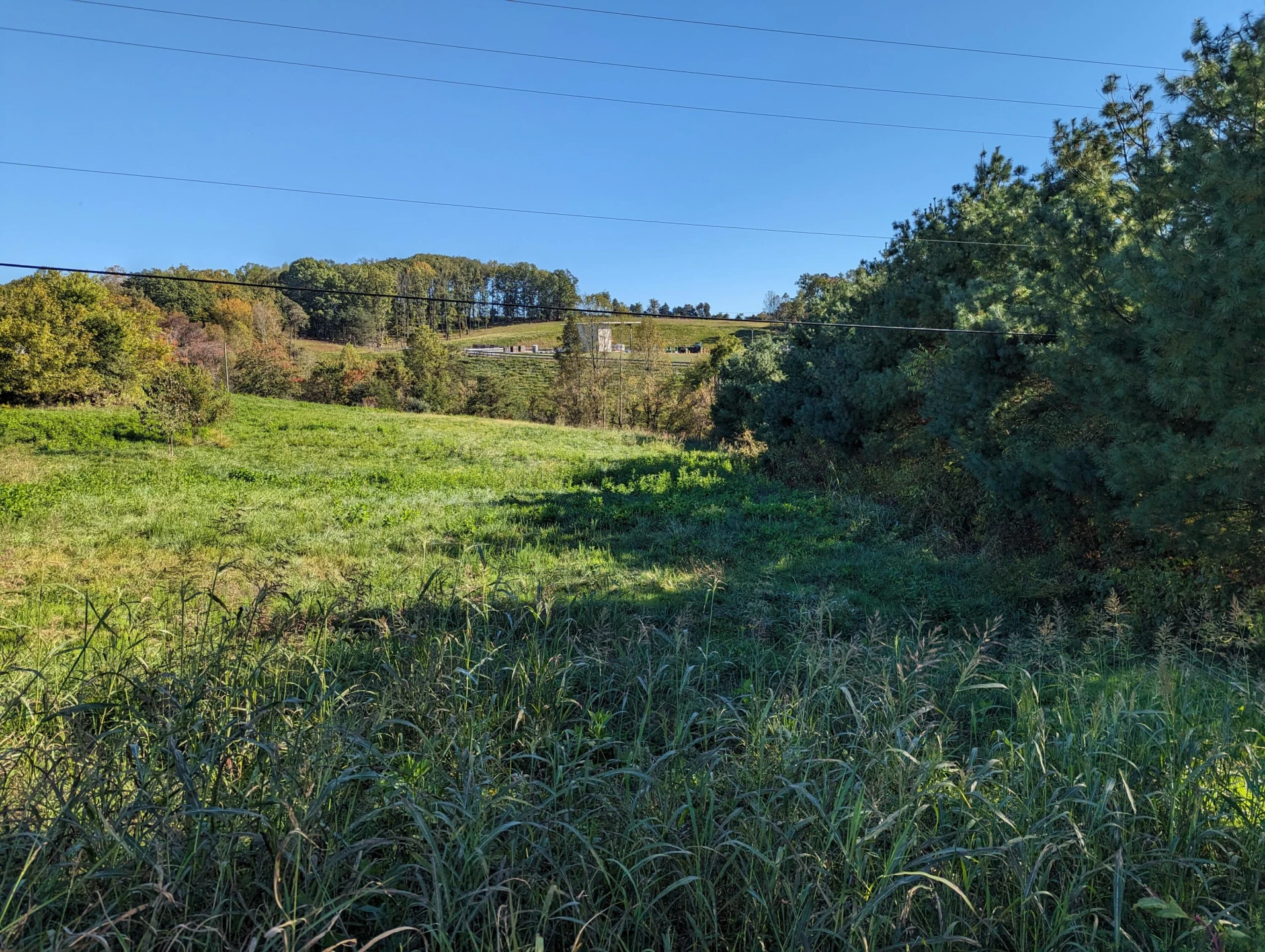 0 Taylors RD - Photo 4