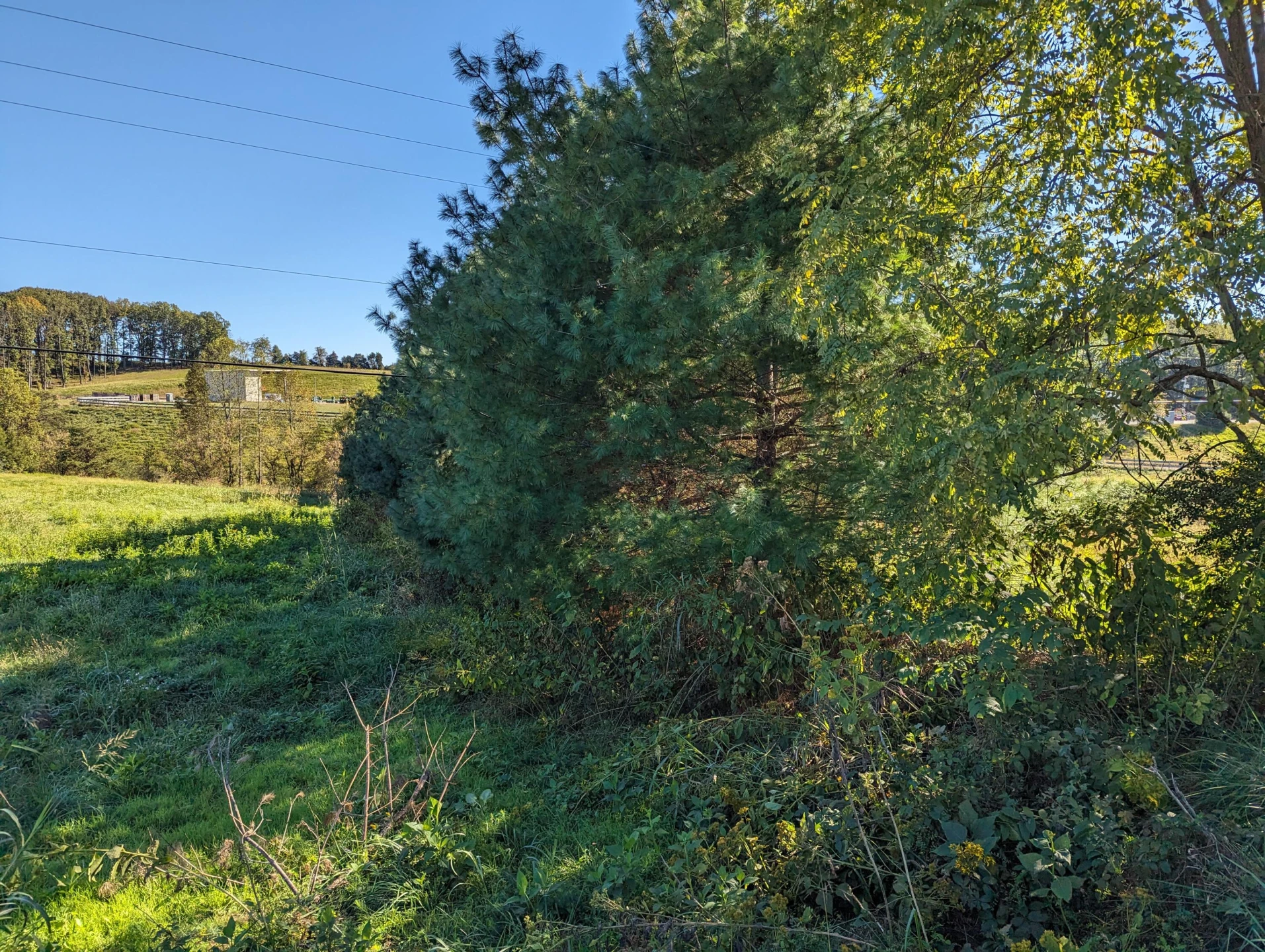 0 Taylors RD - Photo 6
