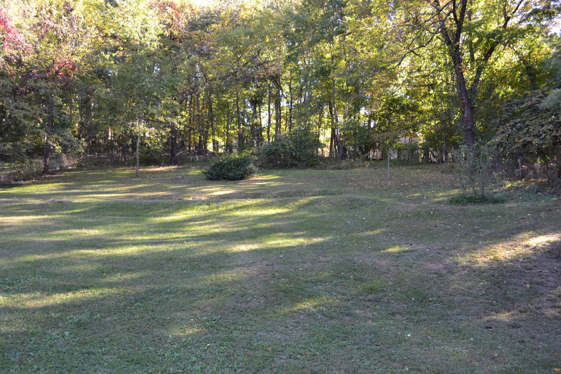 5329 Eden AVE - Photo 41
