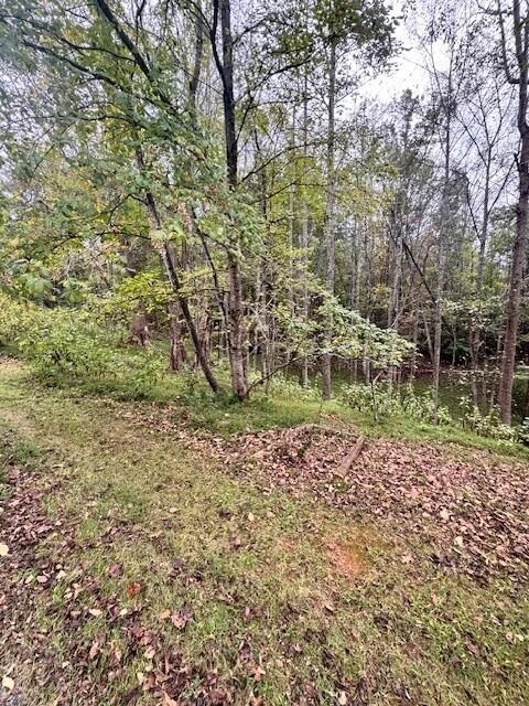 0 Old Mill DR - Photo 2
