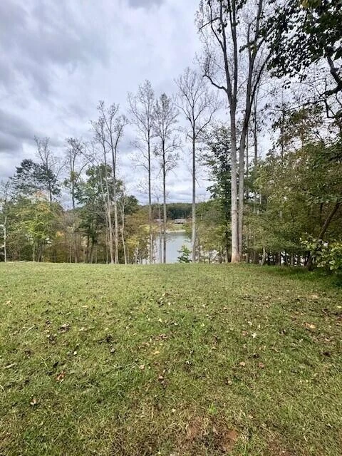 0 Old Mill DR - Photo 3