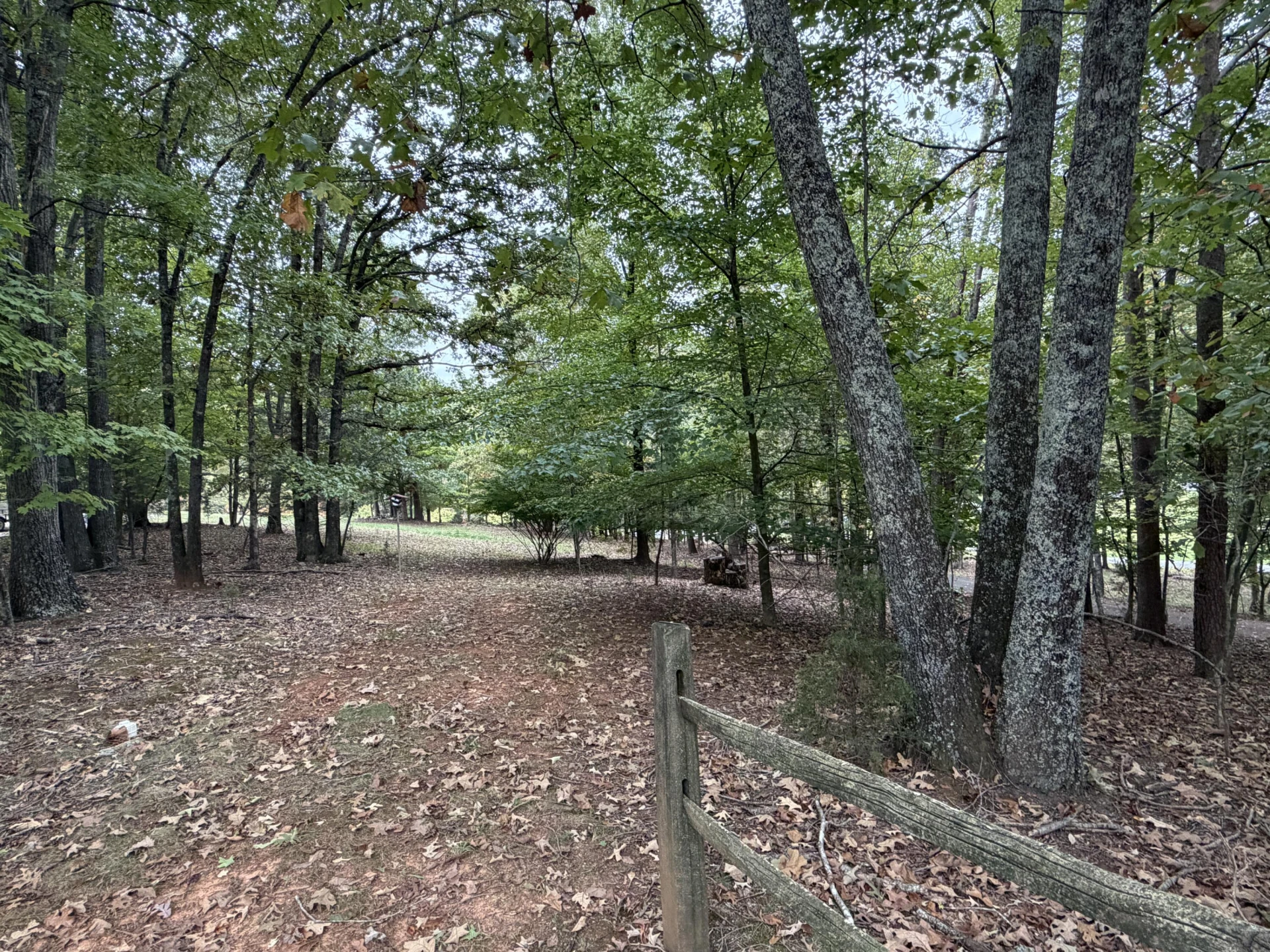 206 brookledge DR - Photo 21