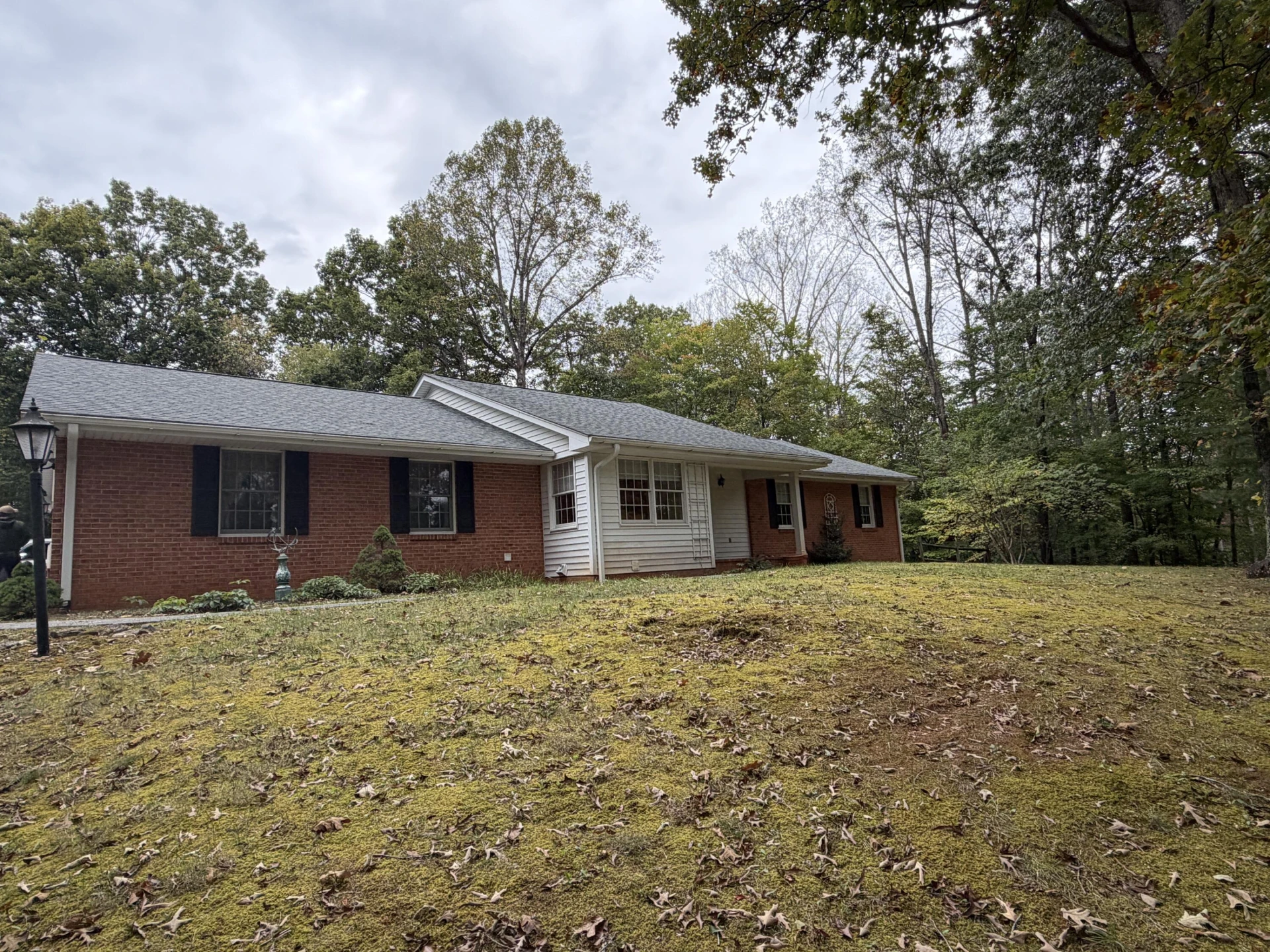 206 brookledge DR - Photo 3