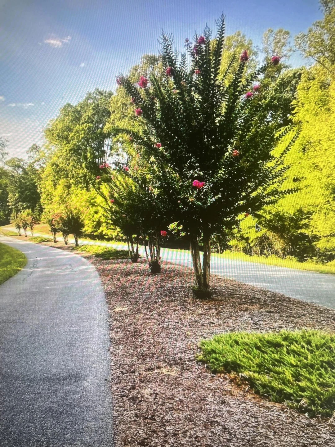 Lot 27 Garrison Ridge