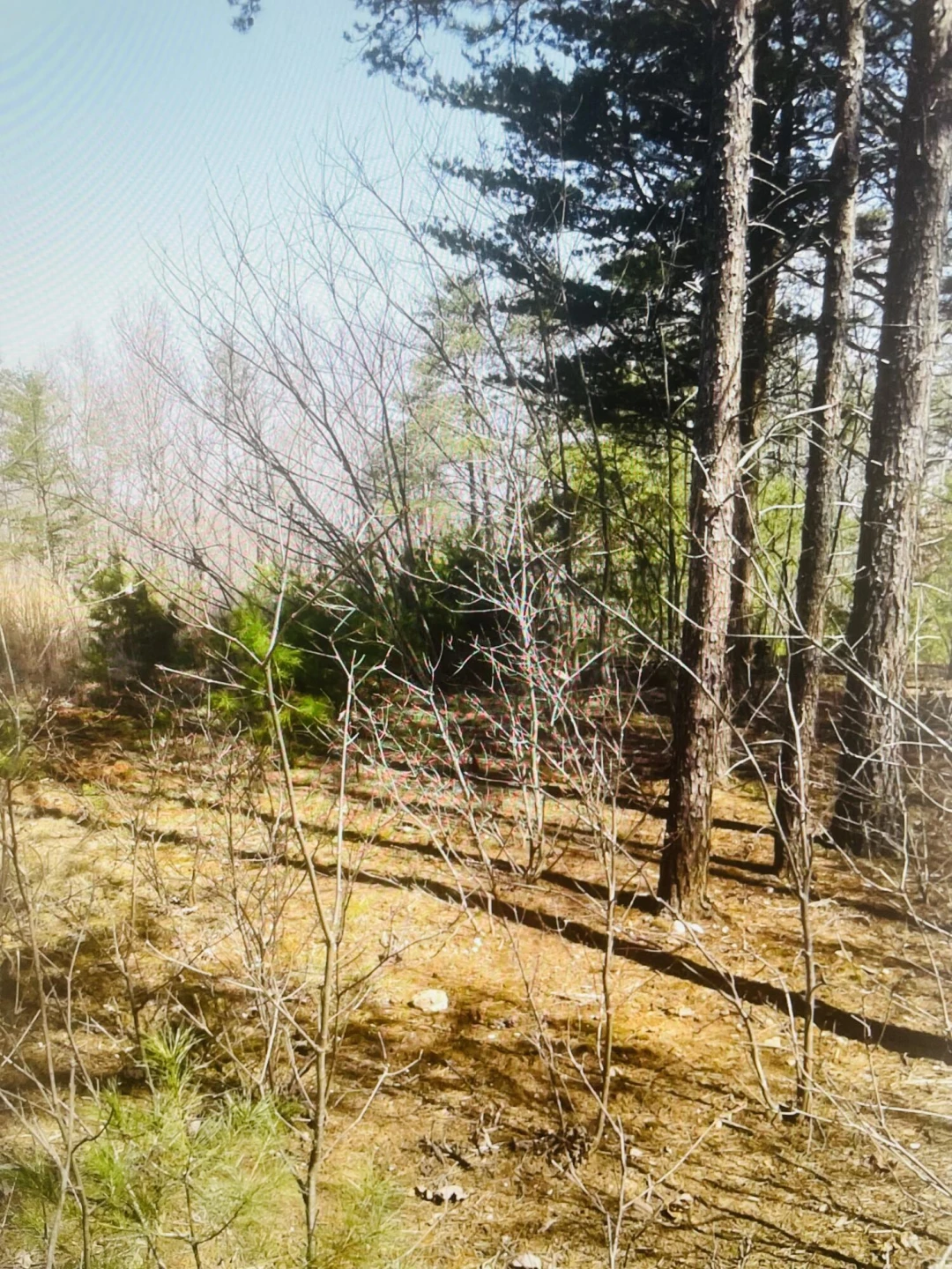 Lot 27 Garrison Ridge - Photo 3