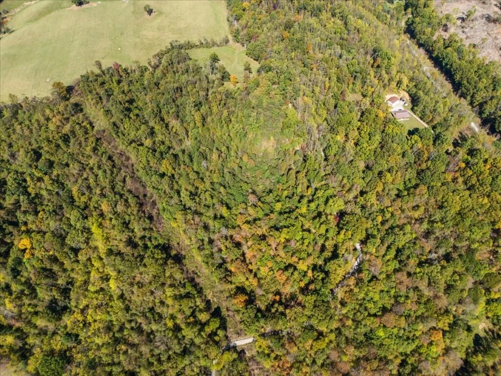 TBD Dry Branch RD - Photo 10