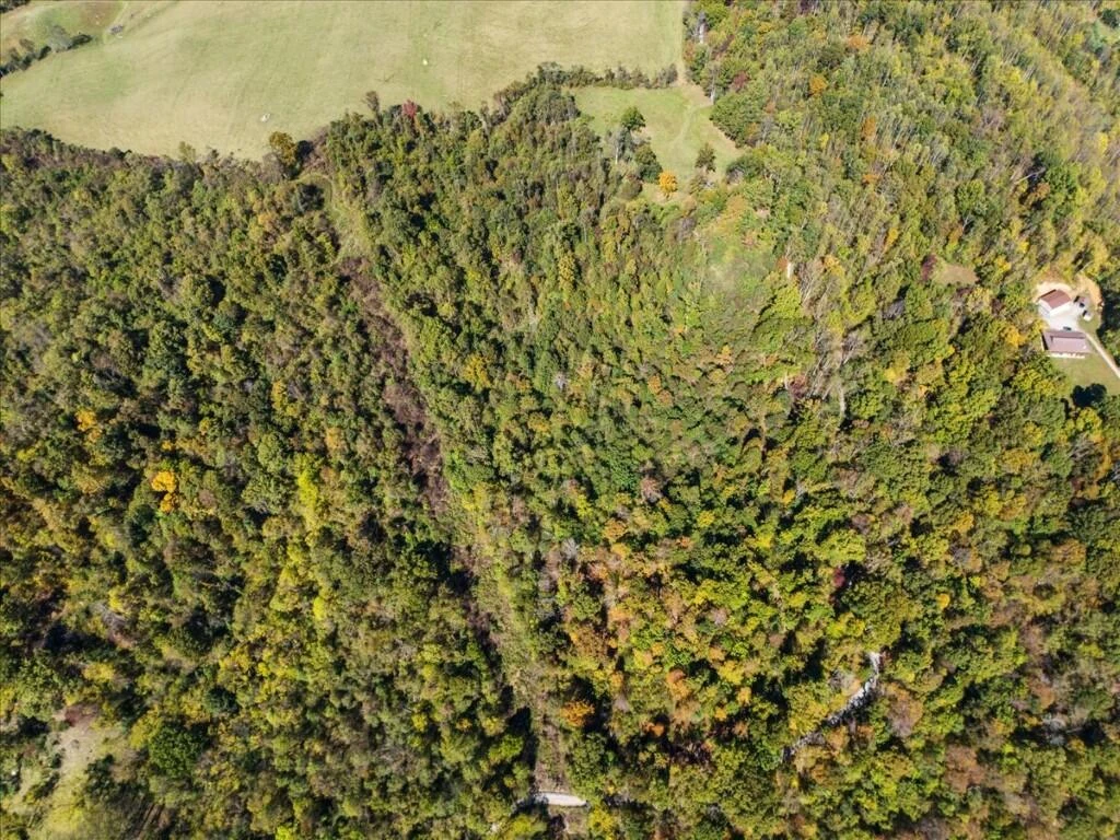 TBD Dry Branch RD - Photo 11