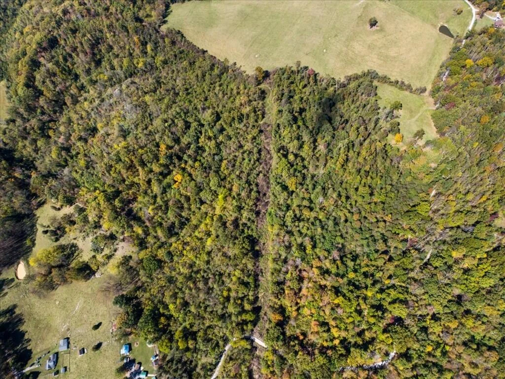 TBD Dry Branch RD - Photo 12