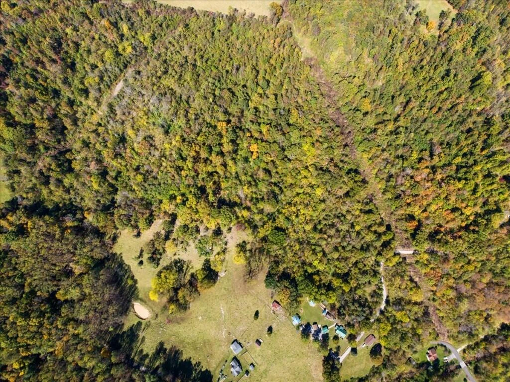 TBD Dry Branch RD - Photo 13