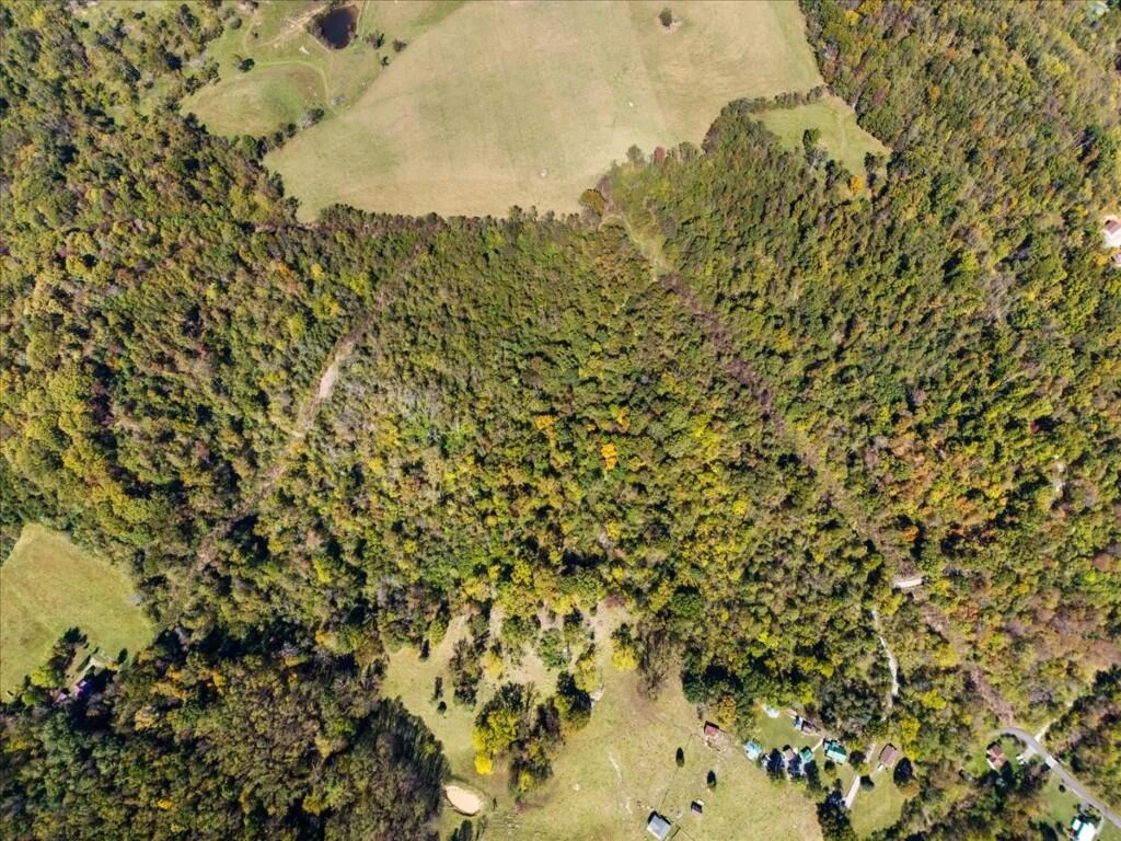 TBD Dry Branch RD - Photo 14