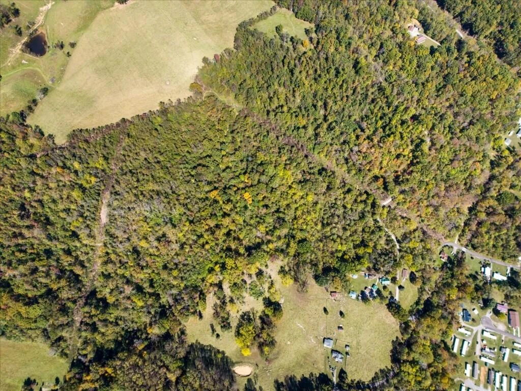 TBD Dry Branch RD - Photo 15