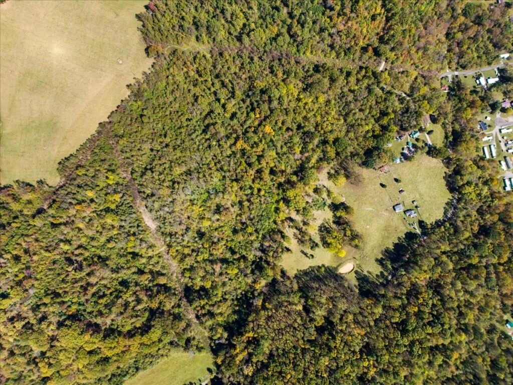 TBD Dry Branch RD - Photo 16