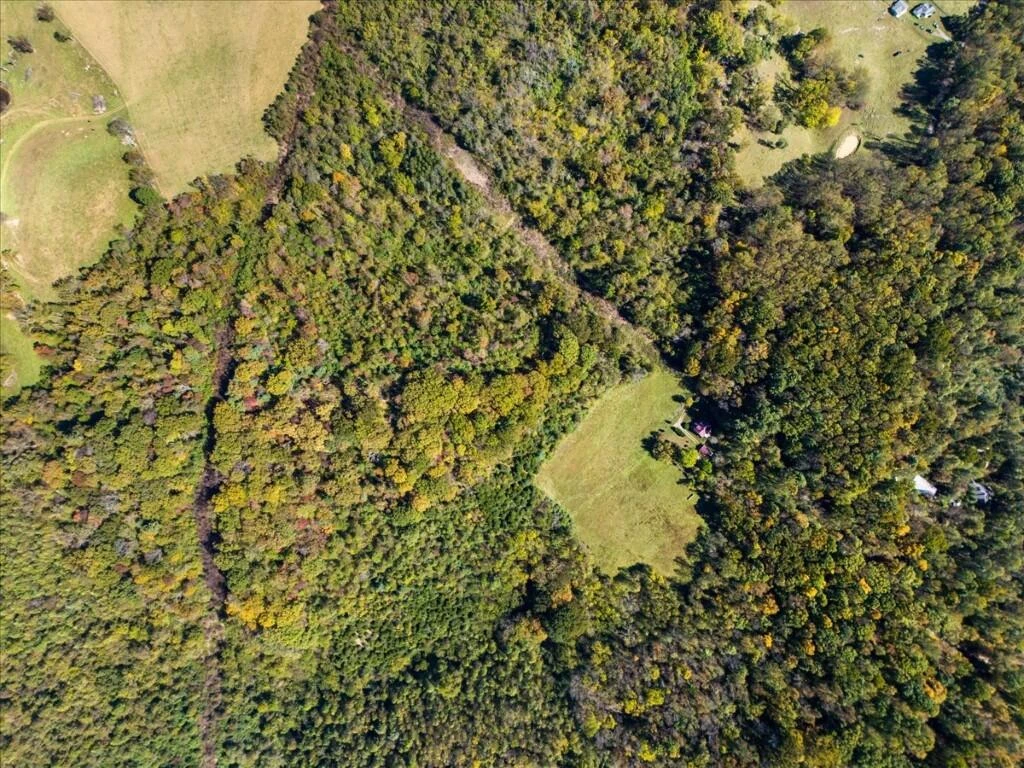TBD Dry Branch RD - Photo 17