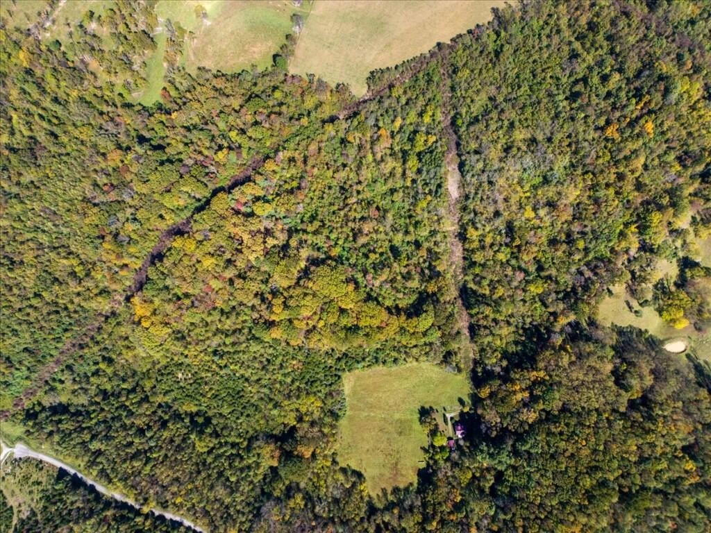 TBD Dry Branch RD - Photo 18
