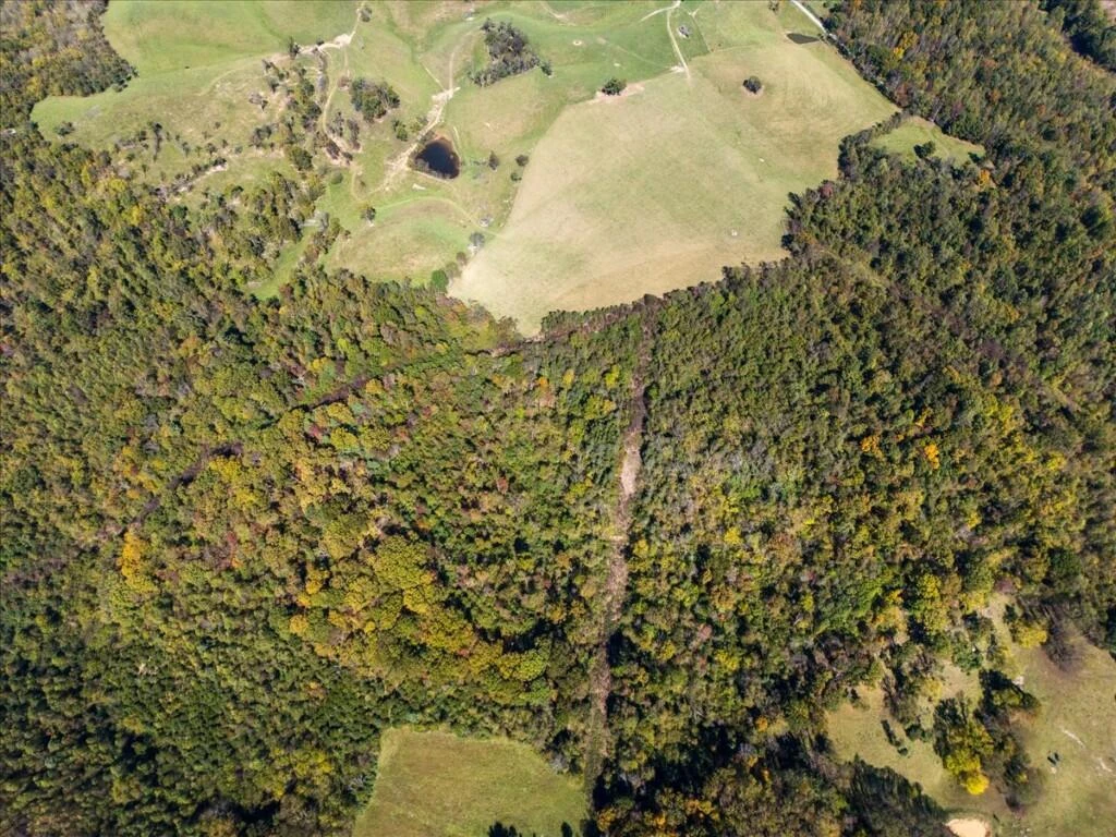 TBD Dry Branch RD - Photo 19