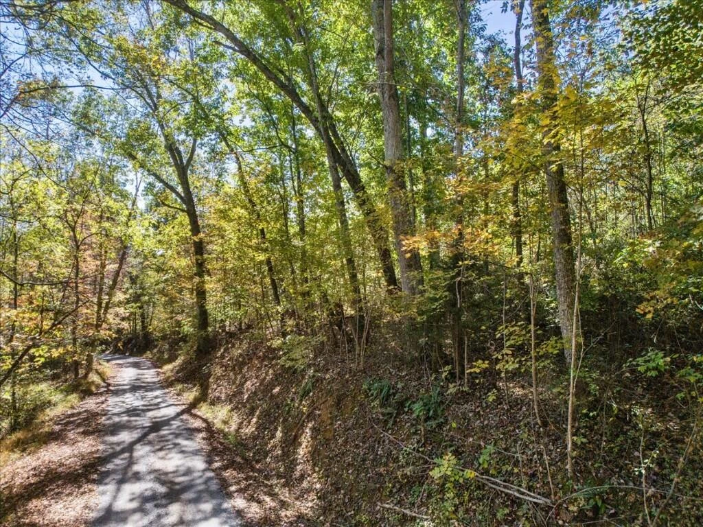 TBD Dry Branch RD - Photo 2