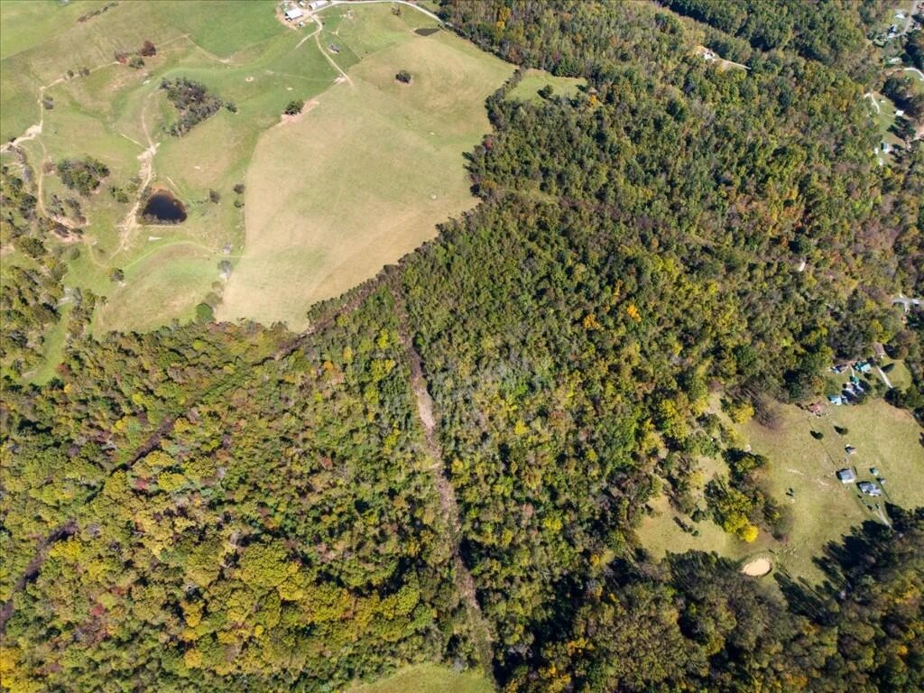 TBD Dry Branch RD - Photo 20