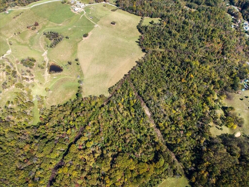 TBD Dry Branch RD - Photo 21
