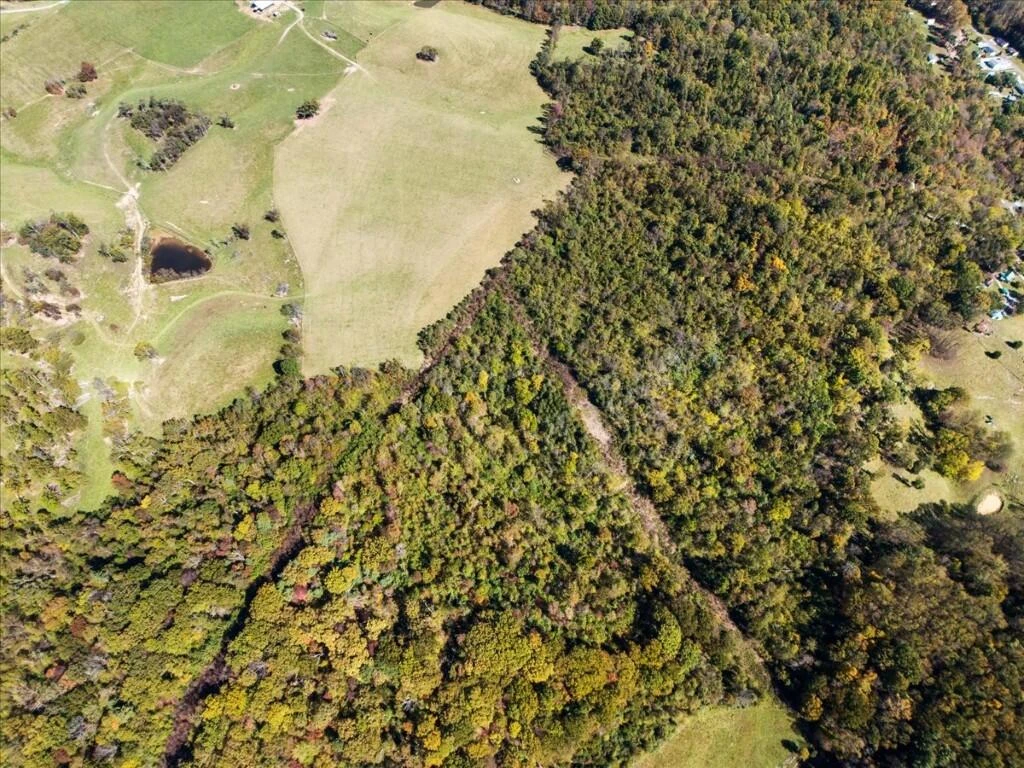 TBD Dry Branch RD - Photo 22
