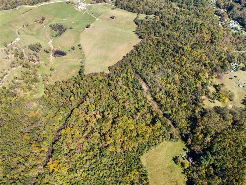 TBD Dry Branch RD - Photo 23
