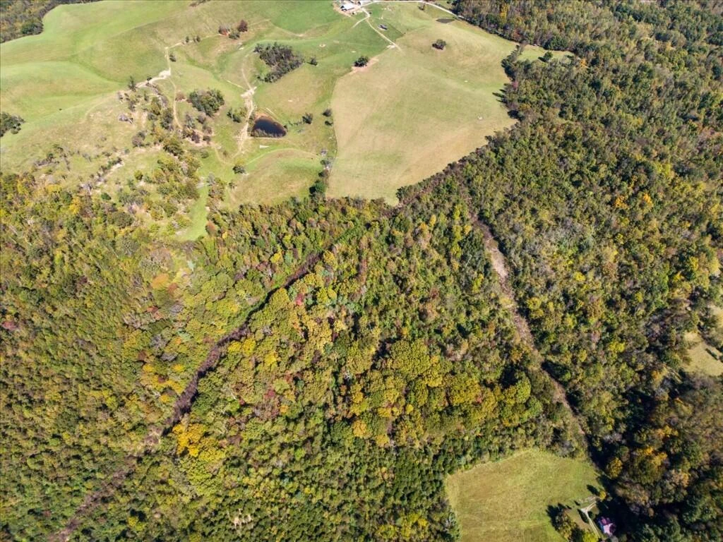 TBD Dry Branch RD - Photo 24