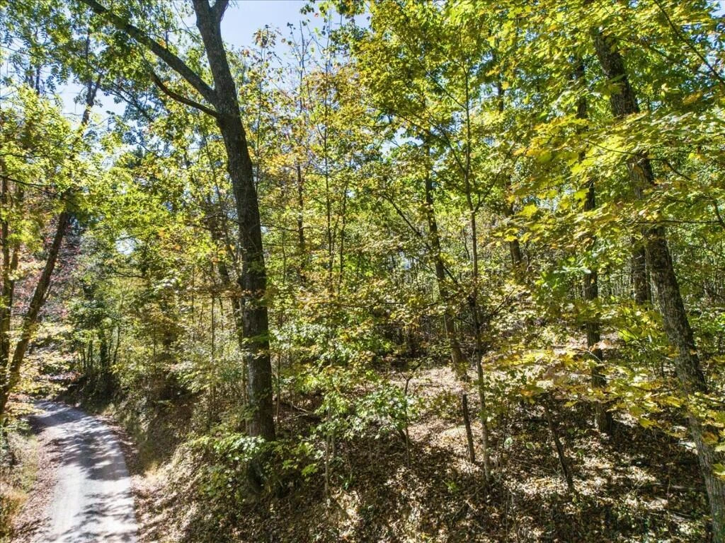 TBD Dry Branch RD - Photo 3