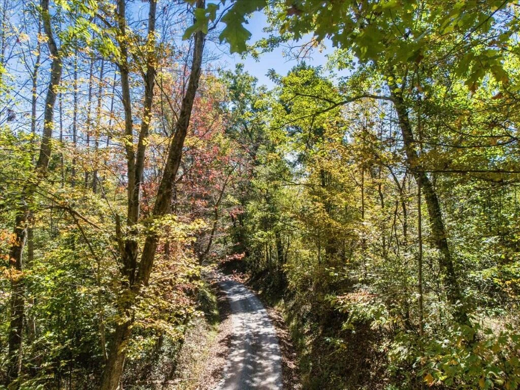 TBD Dry Branch RD - Photo 4