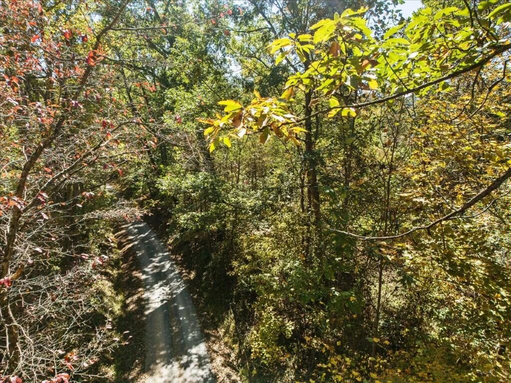 TBD Dry Branch RD - Photo 5