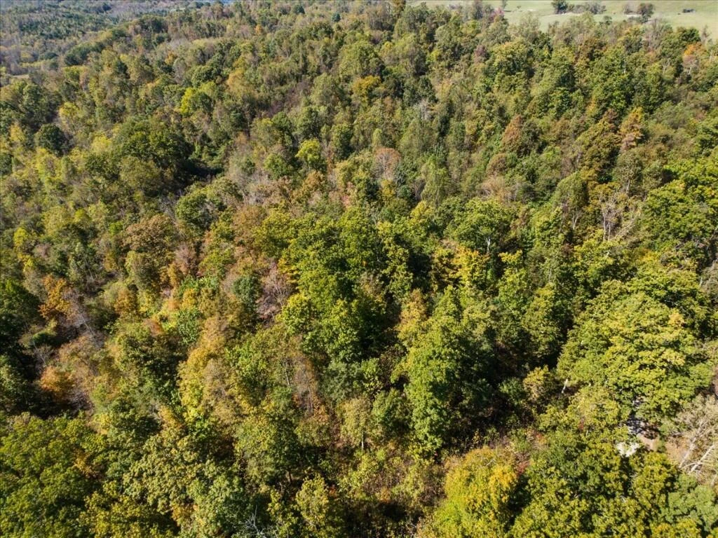 TBD Dry Branch RD - Photo 6